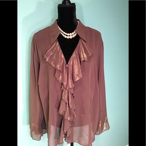 🆕Dana Kay Sheer Blouse w/Metallic Trim Size 24W